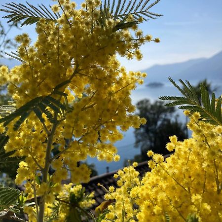 Bnb122 Bed&Breakfast Ascona Exterior photo